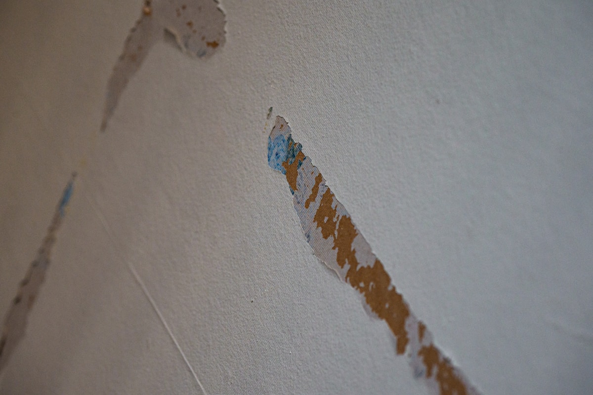 Storm Damage Repair service in Florin, CA